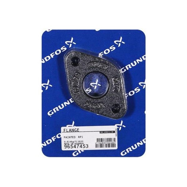 Pump Repair Parts- Flange, painted Rp1 /spare.